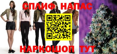крисы Кунгур